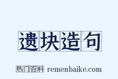 遗块造句是什么意思的图片